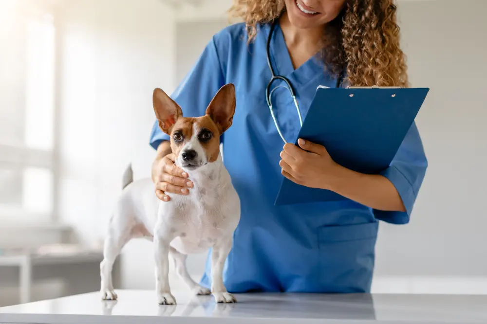 A vet is holding a clipboard petting a dog.